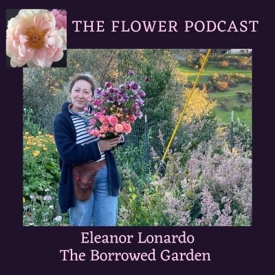 episode Finding the Gaps in Your Flower Market with Eleanor Lonardo / The Borrowed Garden artwork