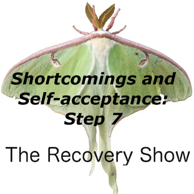 episode Shortcomings and Self-Acceptance: Step 7 – 425 artwork