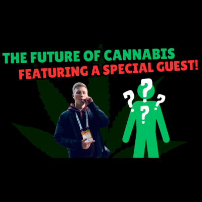 episode #203 - The future of cannabis policy artwork