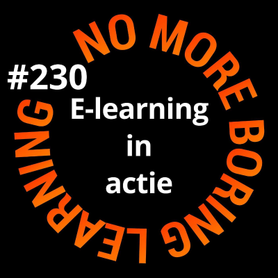 episode 230. Van suf naar super: E-learning in actie artwork