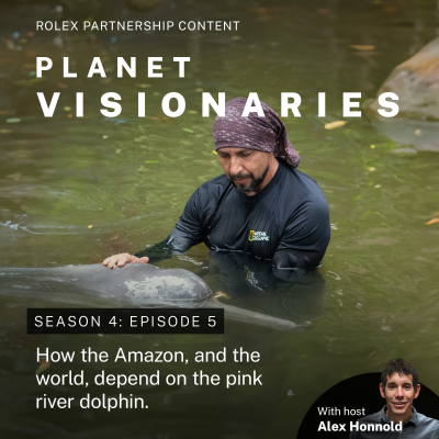 episode To save the Amazon, an explorer studies dolphins artwork