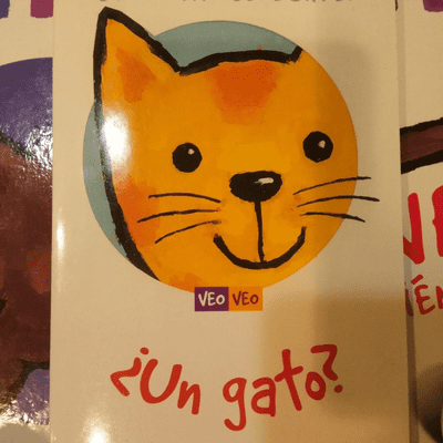 episode CUENTO INFANTIL VEO VEO UN GATO artwork