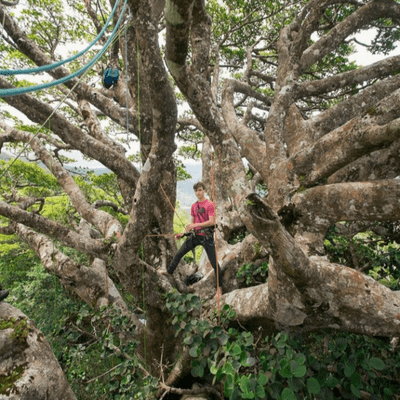 episode Climbing Giants - with Noah Kane artwork