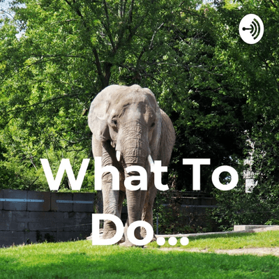 Forsidebilde av showet What To Do...