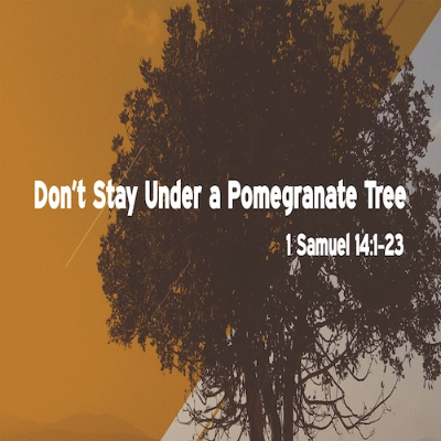 episode “Don’t Stay Under a Pomegranate Tree”-1 Sam. 14:1-23-Mike Stone, Senior Pastor artwork