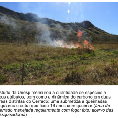 episode Manejo com fogo: aumento da diversidade funcional. artwork