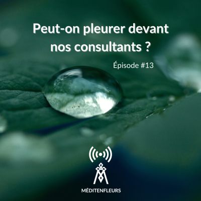 episode Episode 13 - Peut-on pleurer devant nos consultants ? artwork
