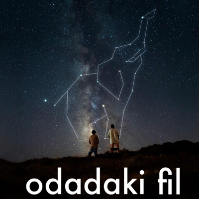 episode Hoşgeldin 2023 - Odadaki Fil (3.Sezon 9.Bölüm) artwork