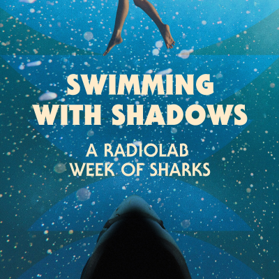 episode Swimming with Shadows: A Radiolab Week of Sharks artwork