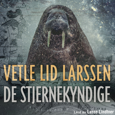 Cover image De stjernekyndige