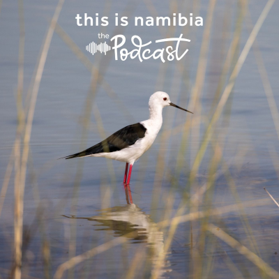 episode The wet edge of Etosha artwork