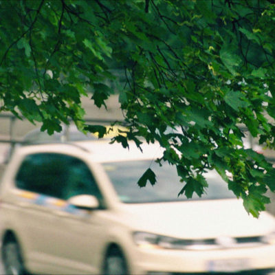 episode Die Rückkehr der Bäume in die Städte artwork