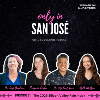 episode Episode 31: The 2025 Silicon Valley Pain Index artwork