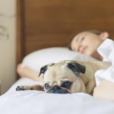 episode How much sleep do children really need? artwork