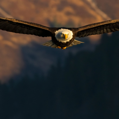 episode Episode 67 artwork