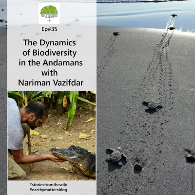 episode The Dynamics of Biodiversity in the Andamans with Nariman Vazifdar: Ep#35 artwork