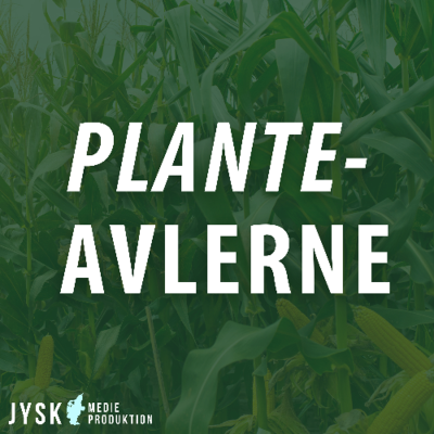 episode Planteavlerne 2025 - E23: Droner og spotsprøjtning med Mikkel Nørskov Brauer artwork