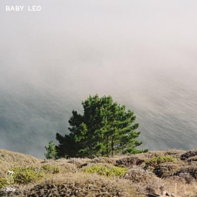 episode MDC.309 Baby Leo artwork