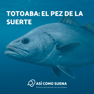 episode Totoaba: el pez de la suerte artwork