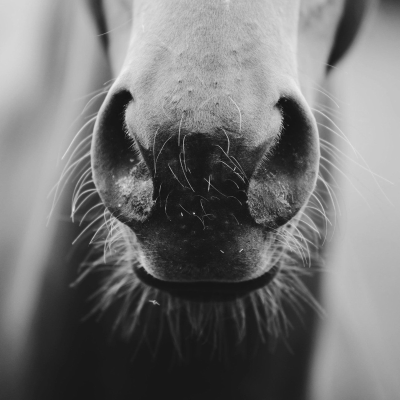 episode Episode 240 - Sorry to Bother You (Part 1) artwork