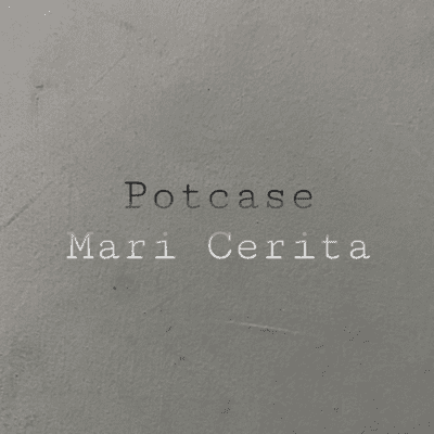 POTCASE