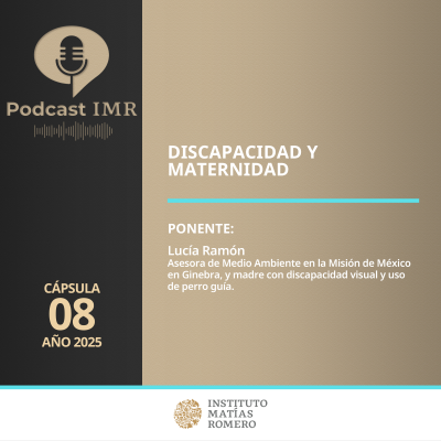 episode Cápsula IMR - Discapacidad y maternidad artwork