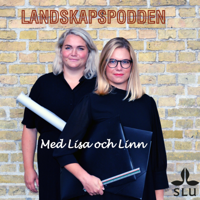 episode 27. Växtkännedom och vegetationsbyggnad med Karin Ingemansson artwork