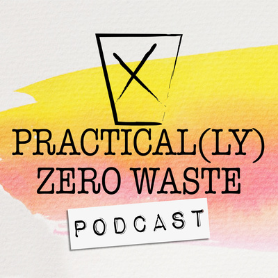 episode 138 • The Zero Waste Family artwork