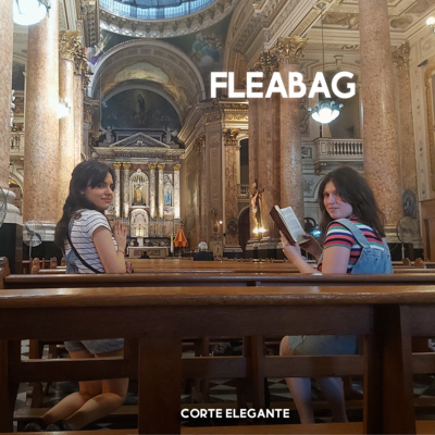 episode Episodio 10: FLEABAG artwork