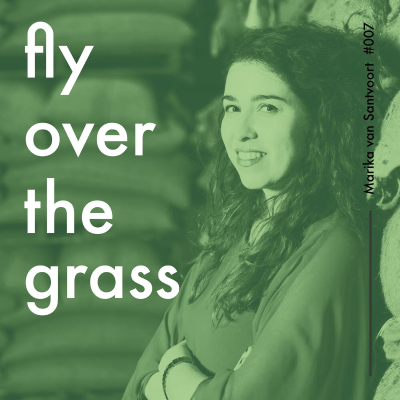episode Fly Over the Grass #007 Marika van Santvoort on improving cocoa supply chains as a social entrepreneur artwork