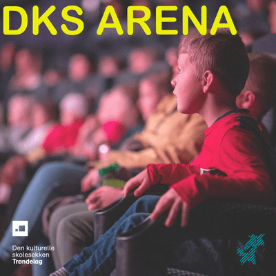 DKS Arena