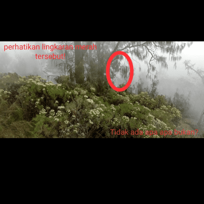 episode Eps- 06 Apa iya di gunung banyak setan? (part 2) artwork
