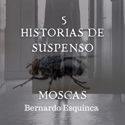 episode "Moscas" Bernardo Esquinca artwork
