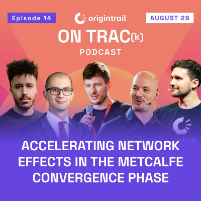 episode Accelerating Network Effects in the Metcalfe Convergence Phase artwork