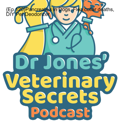 episode {Ep 120}Pancreatitis in Dogs, Flea collar deaths, DIY Pet Deodorizer artwork