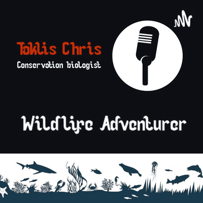 episode Wildlife Adventures in the Dark artwork