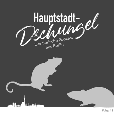 episode Ratten in Berlin artwork