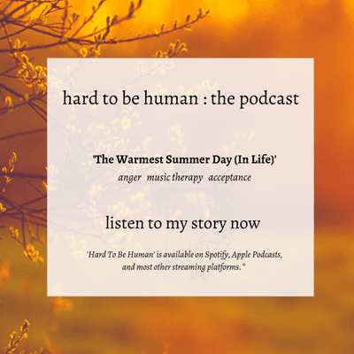 episode The Warmest Summer Day (in Life) artwork