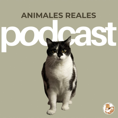 episode #2 - Cuidar colonias felinas artwork