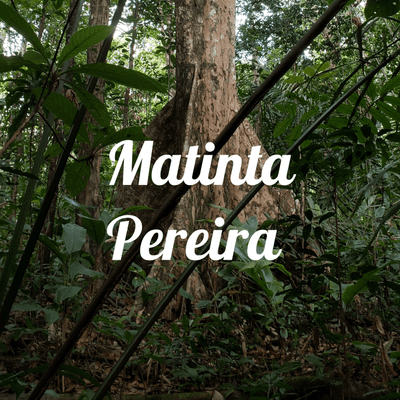 Matinta Pereira