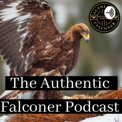 episode Episode #007 Joe Atkinson Part 2 Eagle Falconry artwork