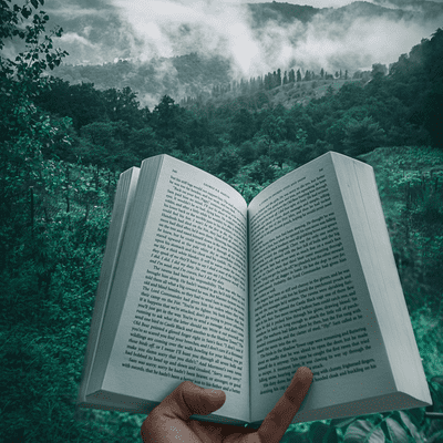 episode By the Book artwork