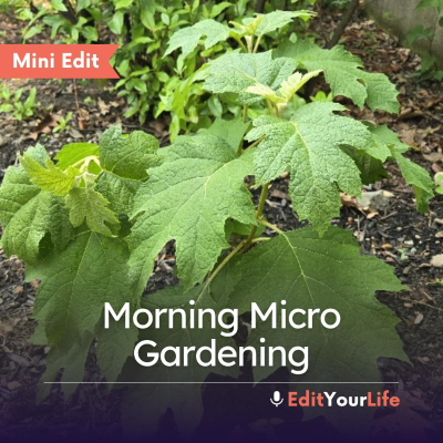 episode Mini Edit: Morning Micro Gardening artwork