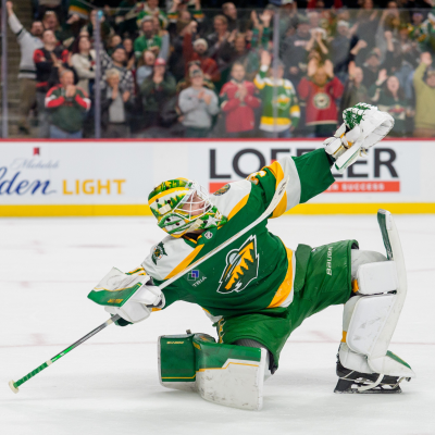 episode So what you're saying is that goalies are the most important people in the world artwork