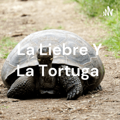 La Liebre Y La Tortuga