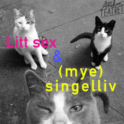 Litt sex og (mye) singelliv