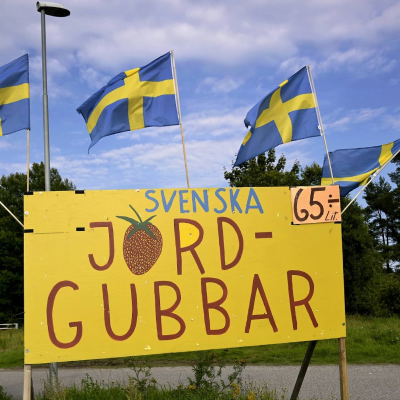 episode Activists entered minister's apartment building, terror trial, Gotland water strategy, risk of Midsummer strawberry shortage artwork