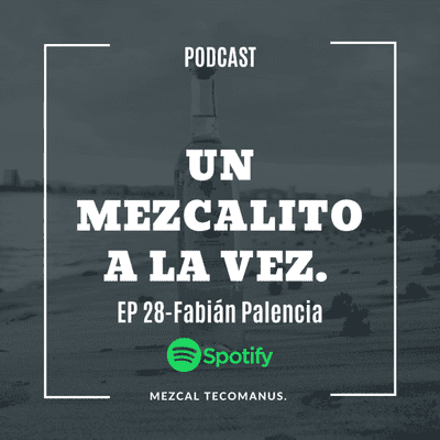 episode Fabián Palencia - Materializa tus ideas. artwork