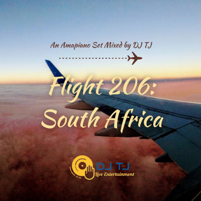 episode Flight 206: South Africa artwork