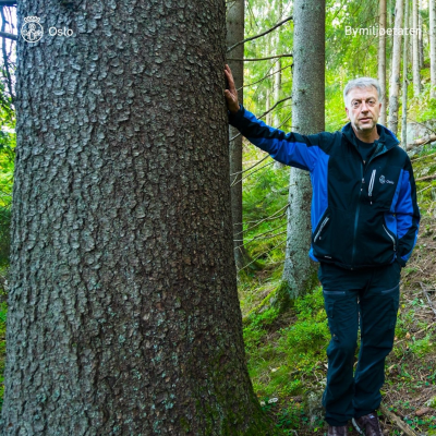 episode Kanskje vi skal forvalte skogen på en annen måte? artwork